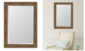 Melissa Van Hise Brown with Dark Edges Framed Mirror - 30.5" x 42.5" x 2"